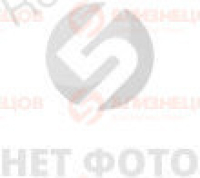 ЭЛЕКТРОННЫЙ МОДУЛЬ